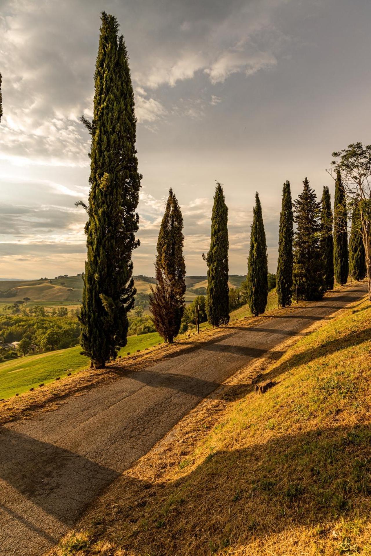 Agriturismo Percenna 博恩孔文托 外观 照片