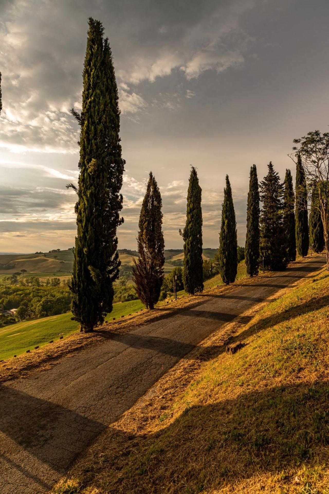 Agriturismo Percenna 博恩孔文托 外观 照片